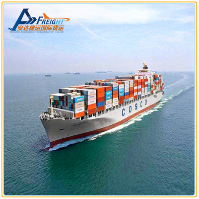 FBA International Sea Freight Forwarder From China To Canada